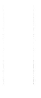 磯炙流白身魚はこう食べる