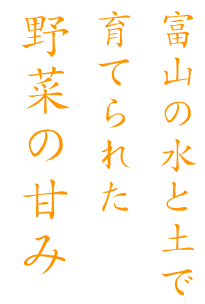 富山の水と土で育てられた