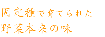 固定種で育てられた