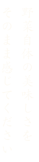 野菜自体の美味しさを