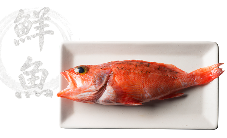 鮮魚
