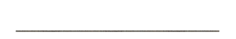 日本海の恵みを思う存分